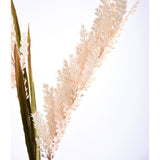 Sorghum Pampas Spray