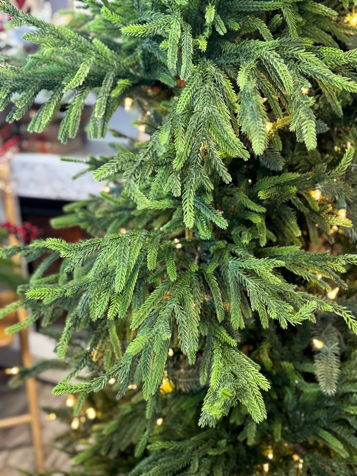 Jumbo Green Real Touch Norfolk Spray