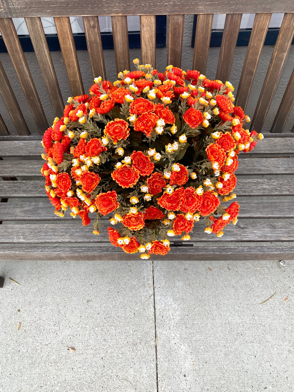 21" Orange Dream Mum Planter Insert