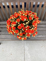 21" Orange Dream Mum Planter Insert
