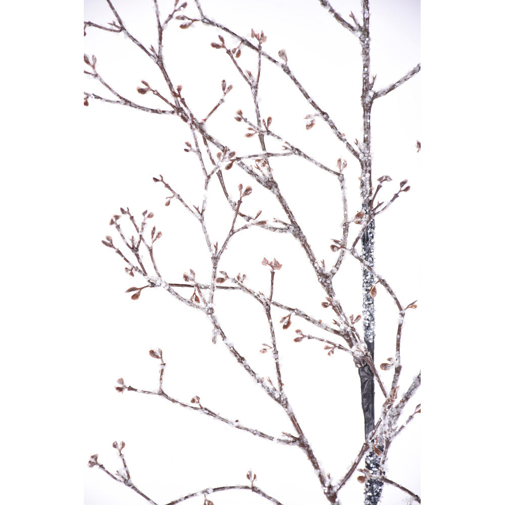 Iced Twig Branch