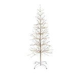 4' Champagne Birch Tree