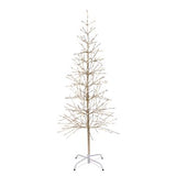 5.5' Champagne Birch Tree