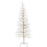 6.5' Champagne Birch Tree