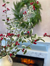 Nice List Variegated Holly Spray