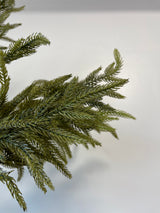 Green Fir Spray