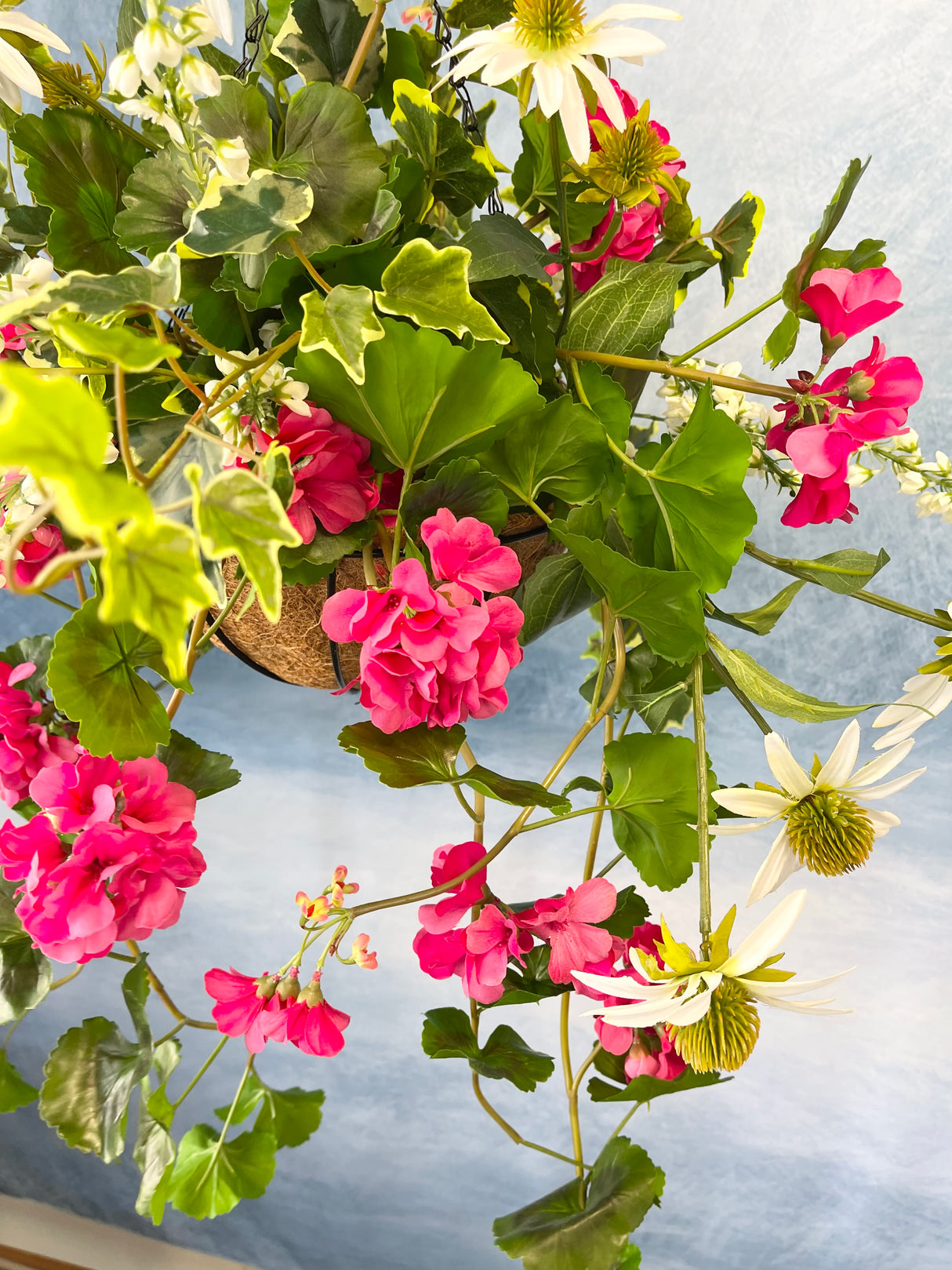 Pink Passion Hanging Basket Kit