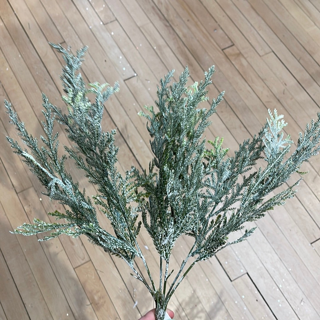 Frosted Mixed Greens Bush