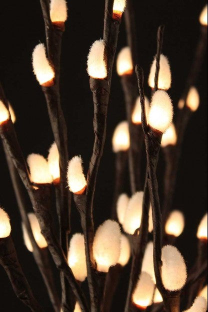 Lighted Pussywillow Branch