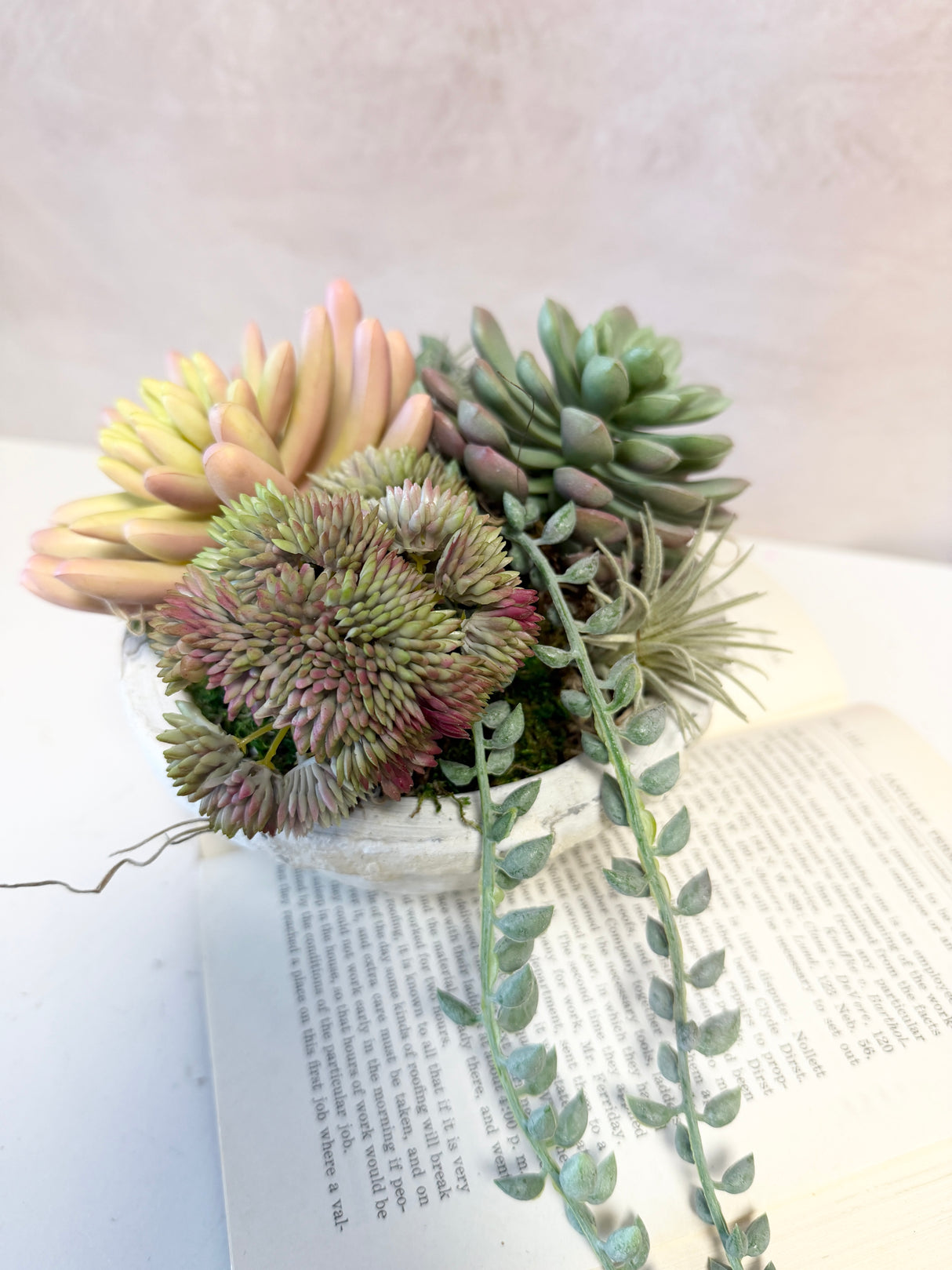 8" Suzie Succulent Centerpiece