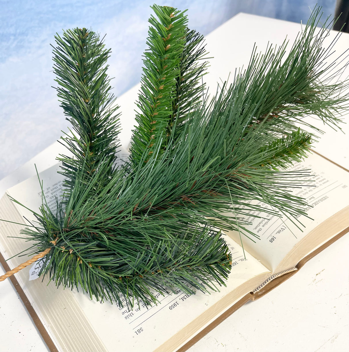Tall Himalayan Pine Spray