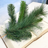 Tall Himalayan Pine Spray
