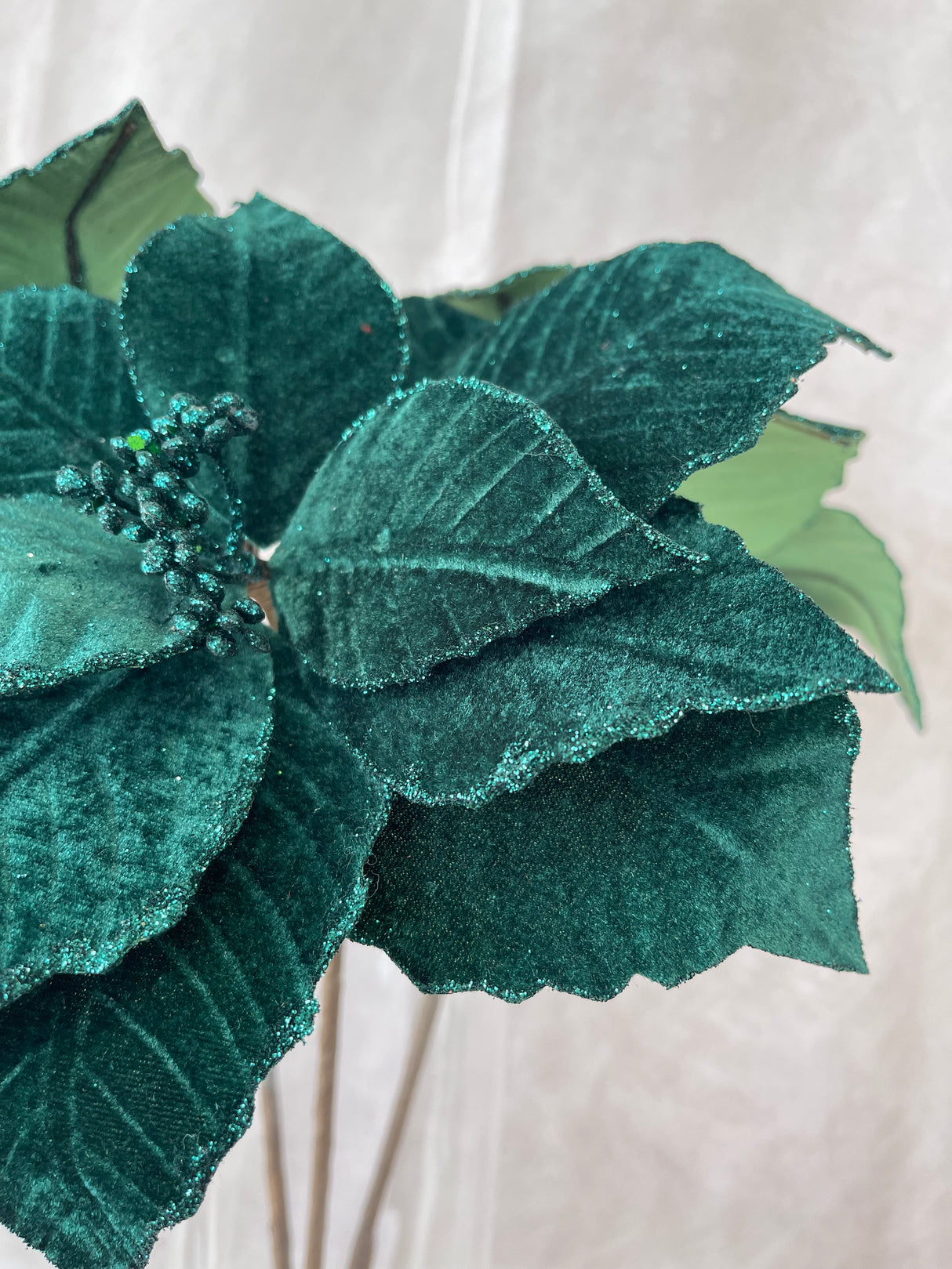 Merry Little Velvet Poinsettia