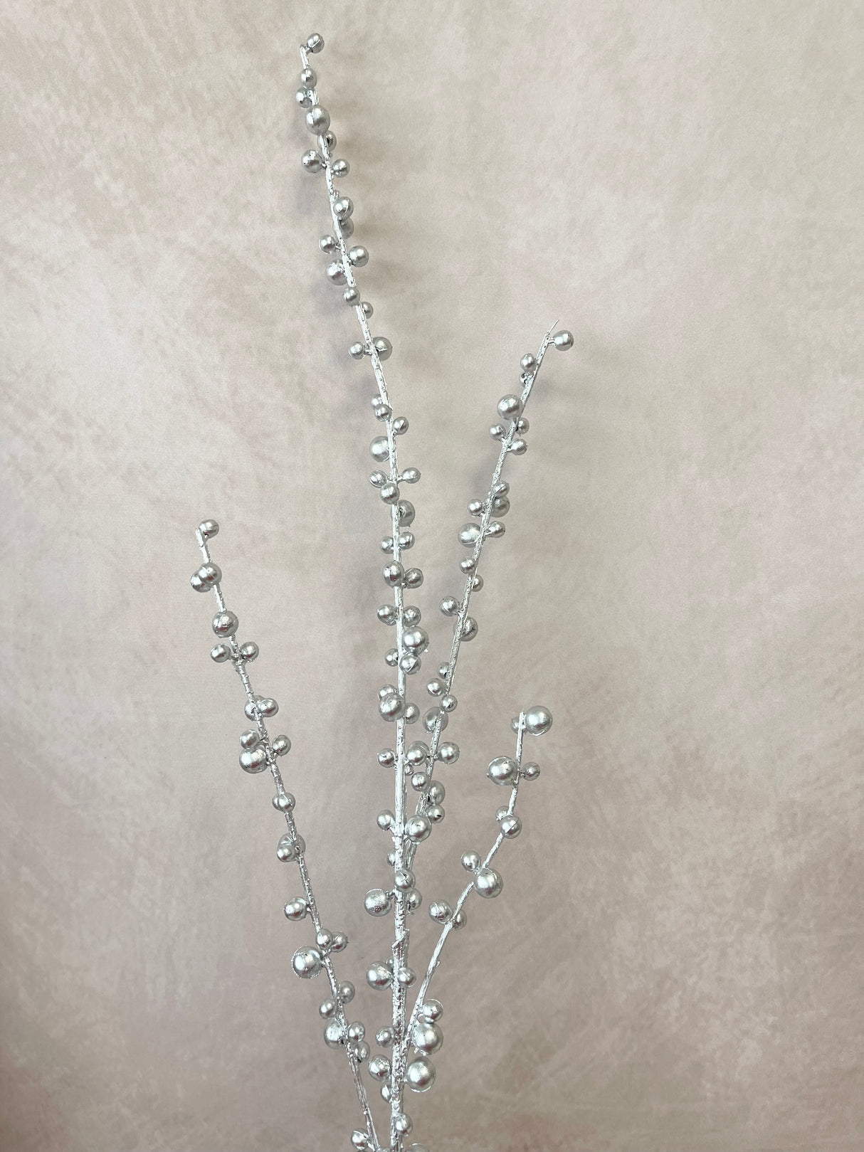 Freezing Berry Stem
