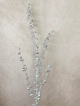 Freezing Berry Stem