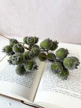 Bright Ice Pod Spray