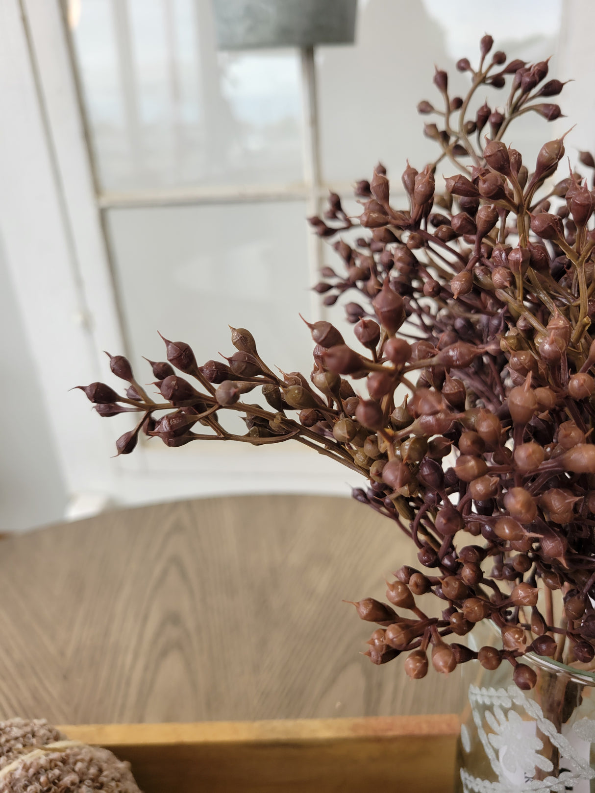 Burnt Red Seed Bush