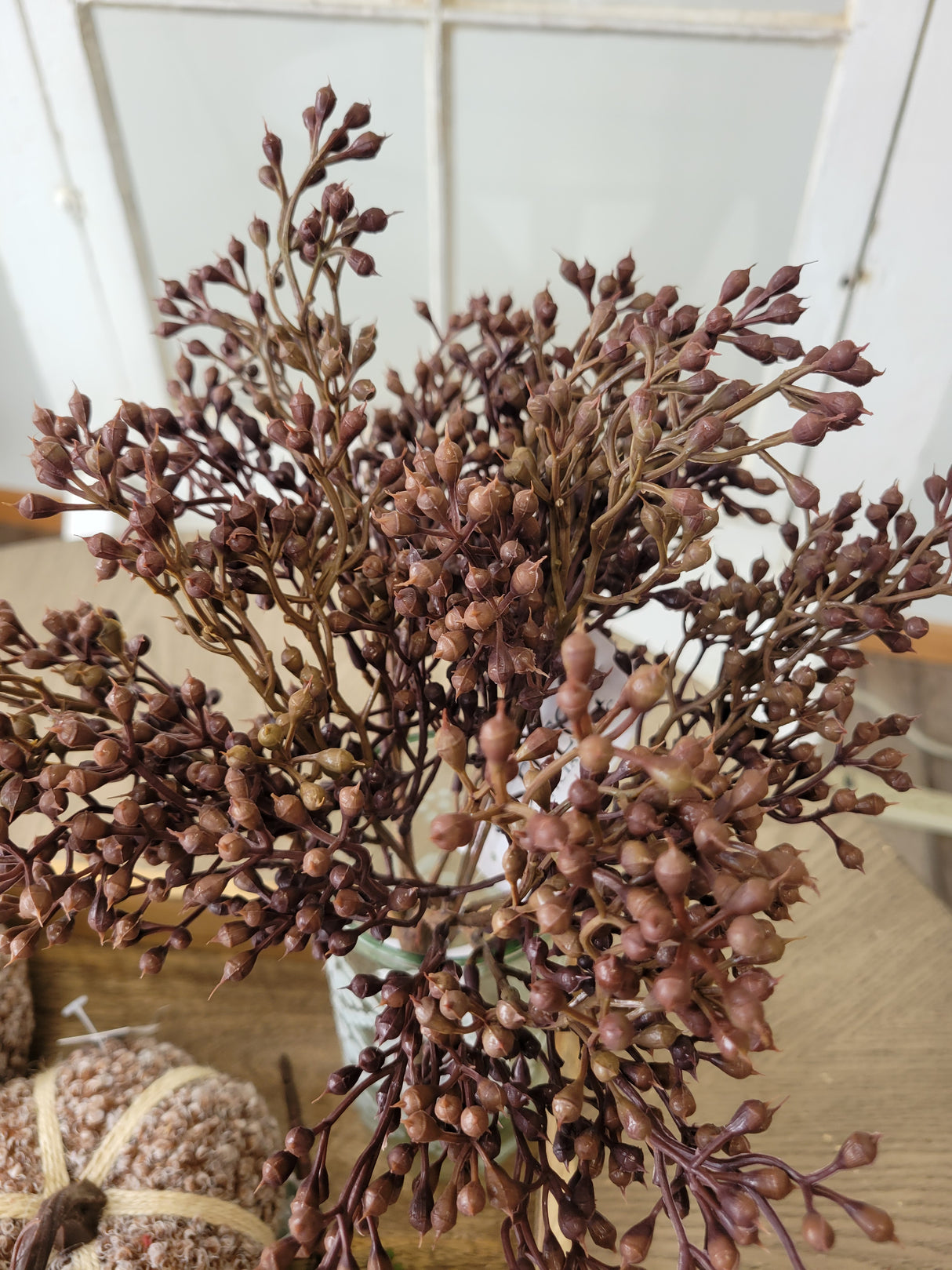 Burnt Red Seed Bush