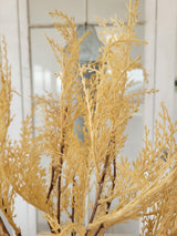 Beige Toffee Pampas Grass Bundle