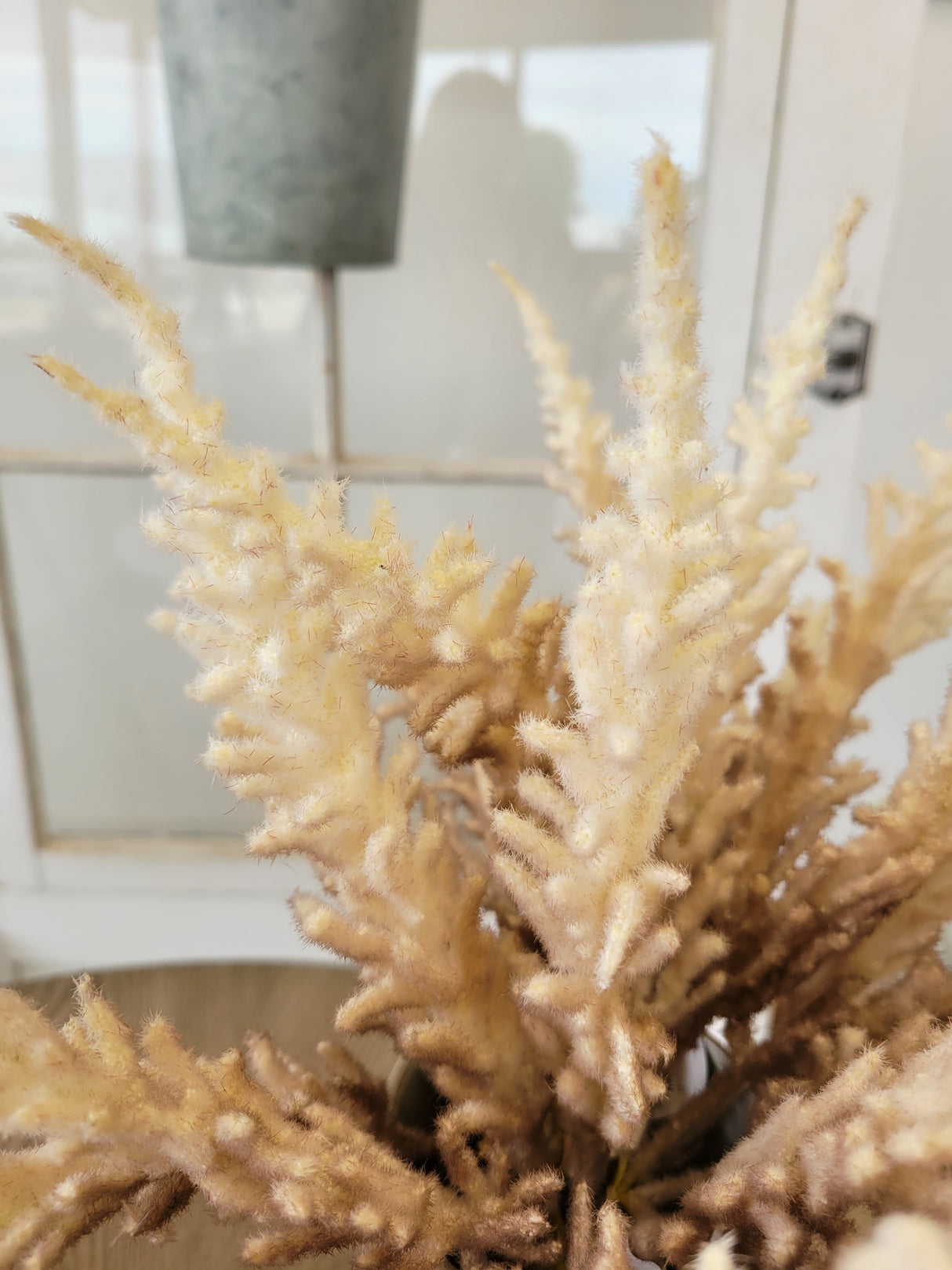 Cream Ombre Astilbe Bundle