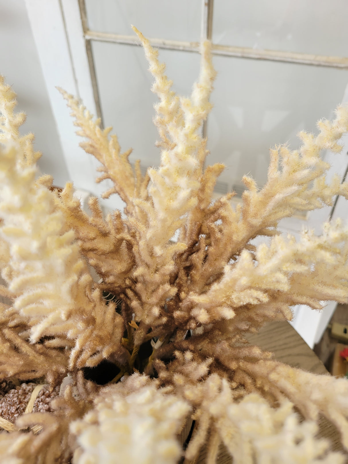 Cream Ombre Astilbe Bundle