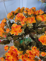 Rust Orange Mini Mum Bush