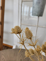 Beige Eryngium Thistle Spray