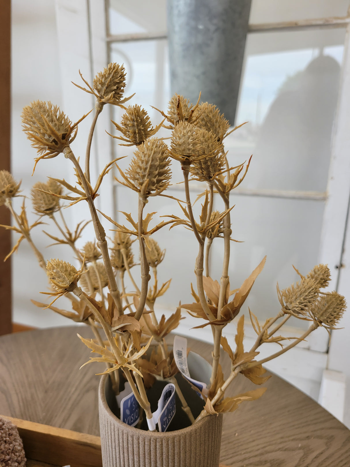 Beige Eryngium Thistle Spray