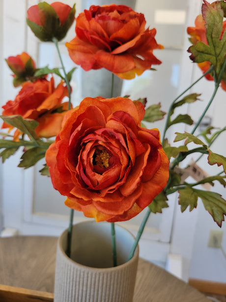 Flame Ranunculus Spray