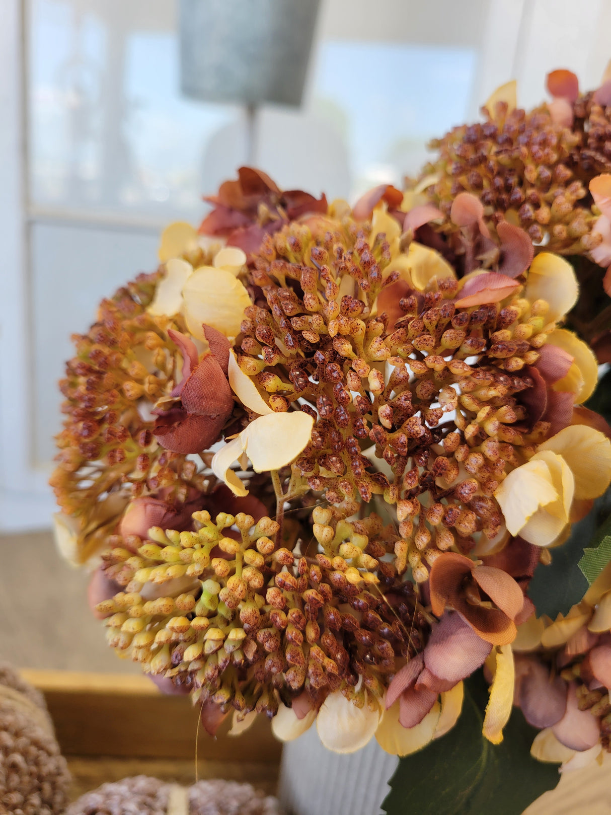 Beige Seeding Hydrangea