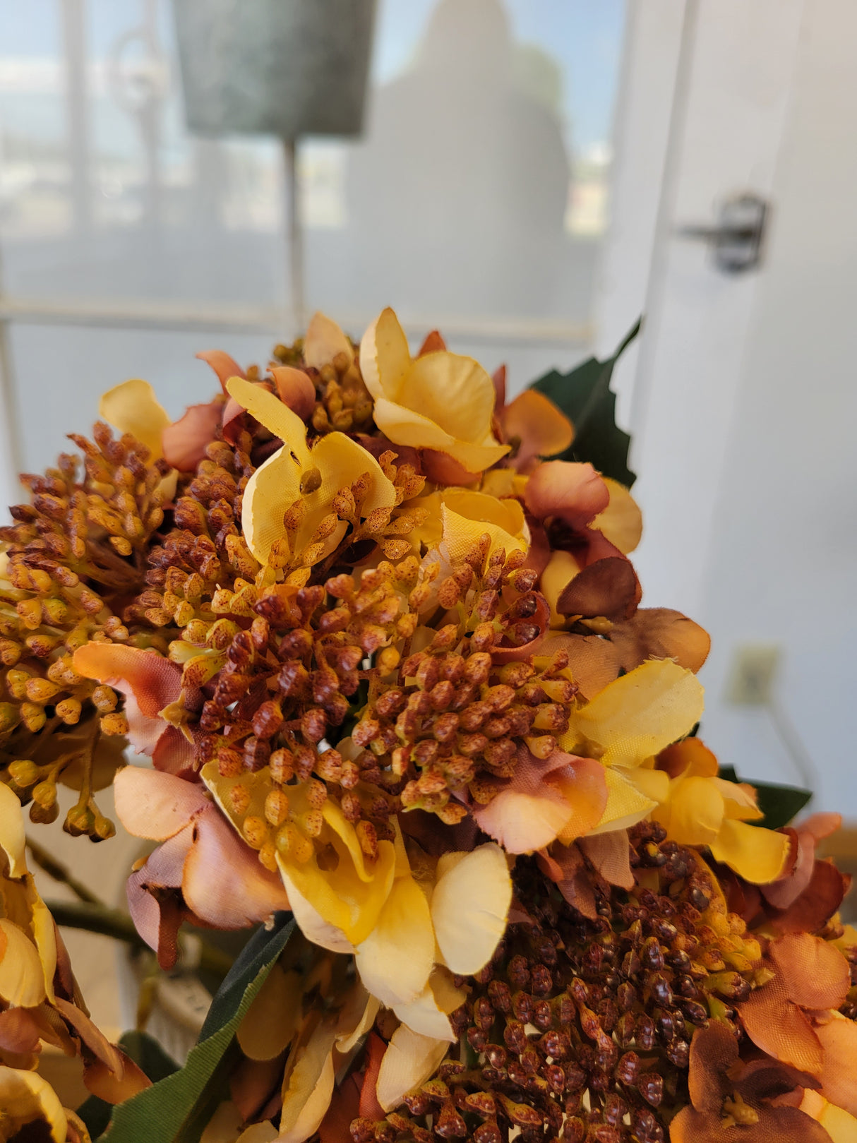 Beige Seeding Hydrangea