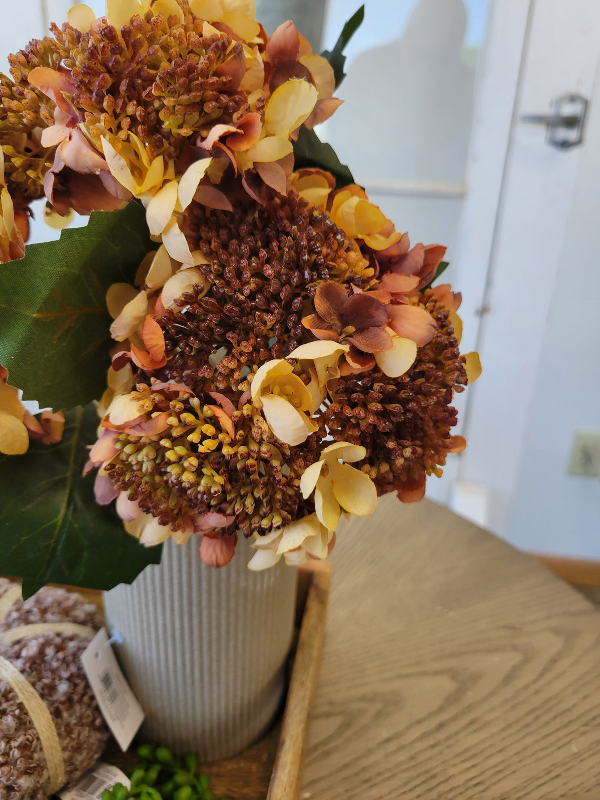 Beige Seeding Hydrangea