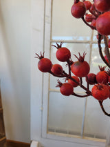 Harvest Red Crabapple Spray