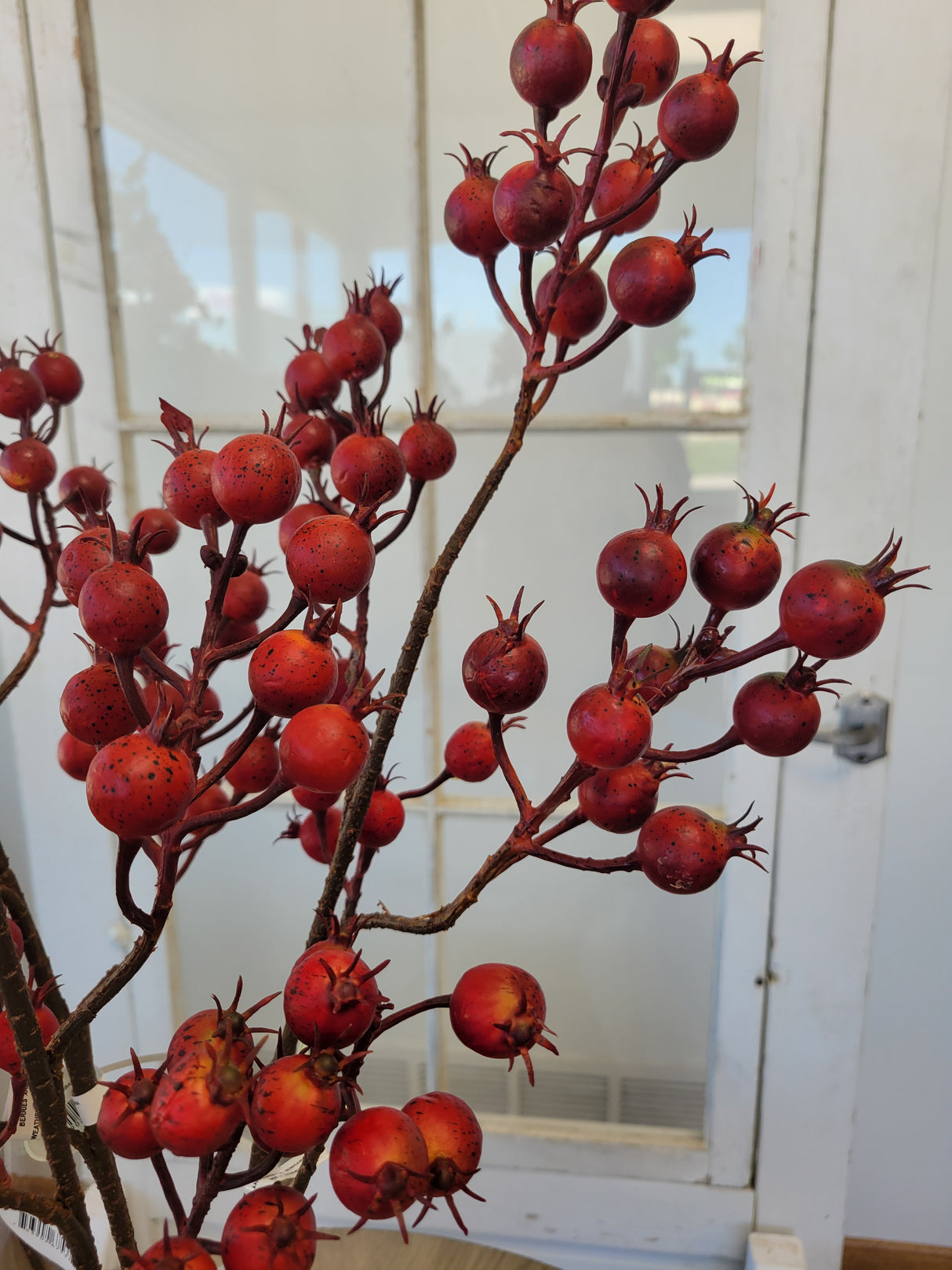 Harvest Red Crabapple Spray