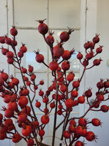 Harvest Red Crabapple Spray