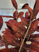 Bronze Glitter Laurel Spary