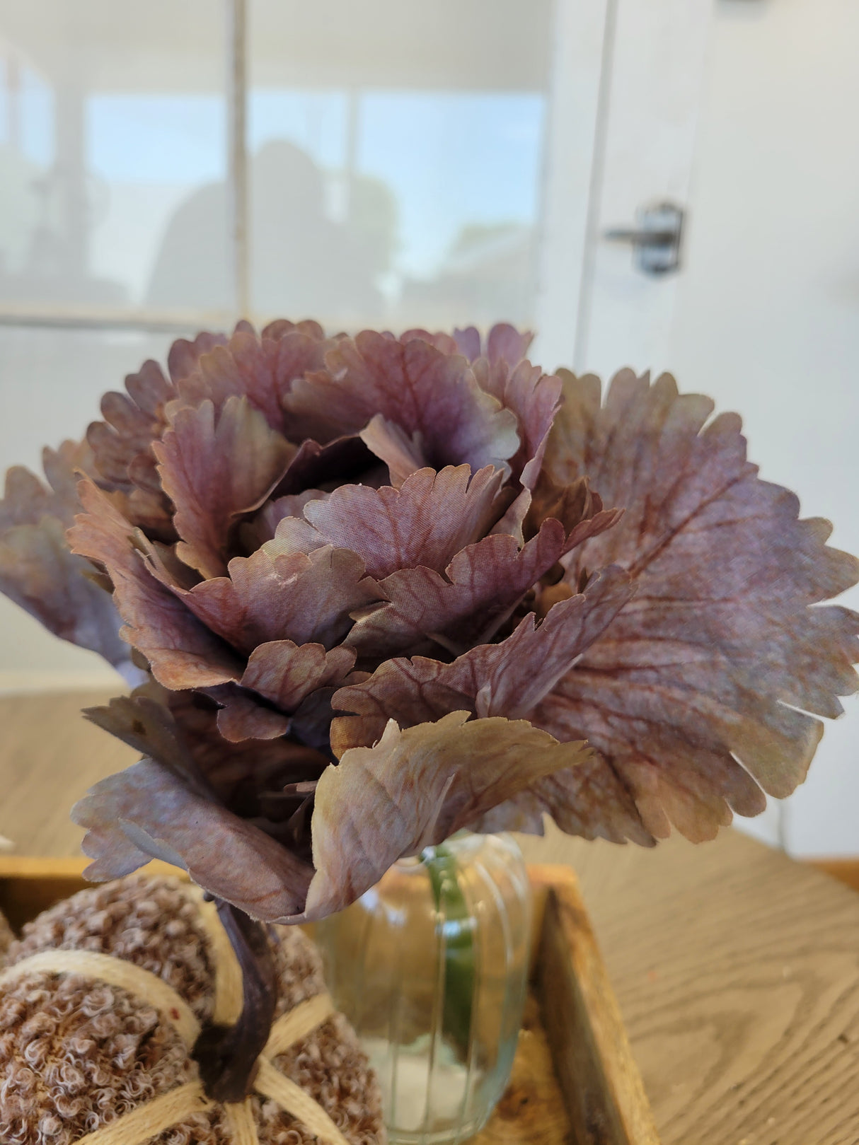 Plum Autumn Cabbage Stem