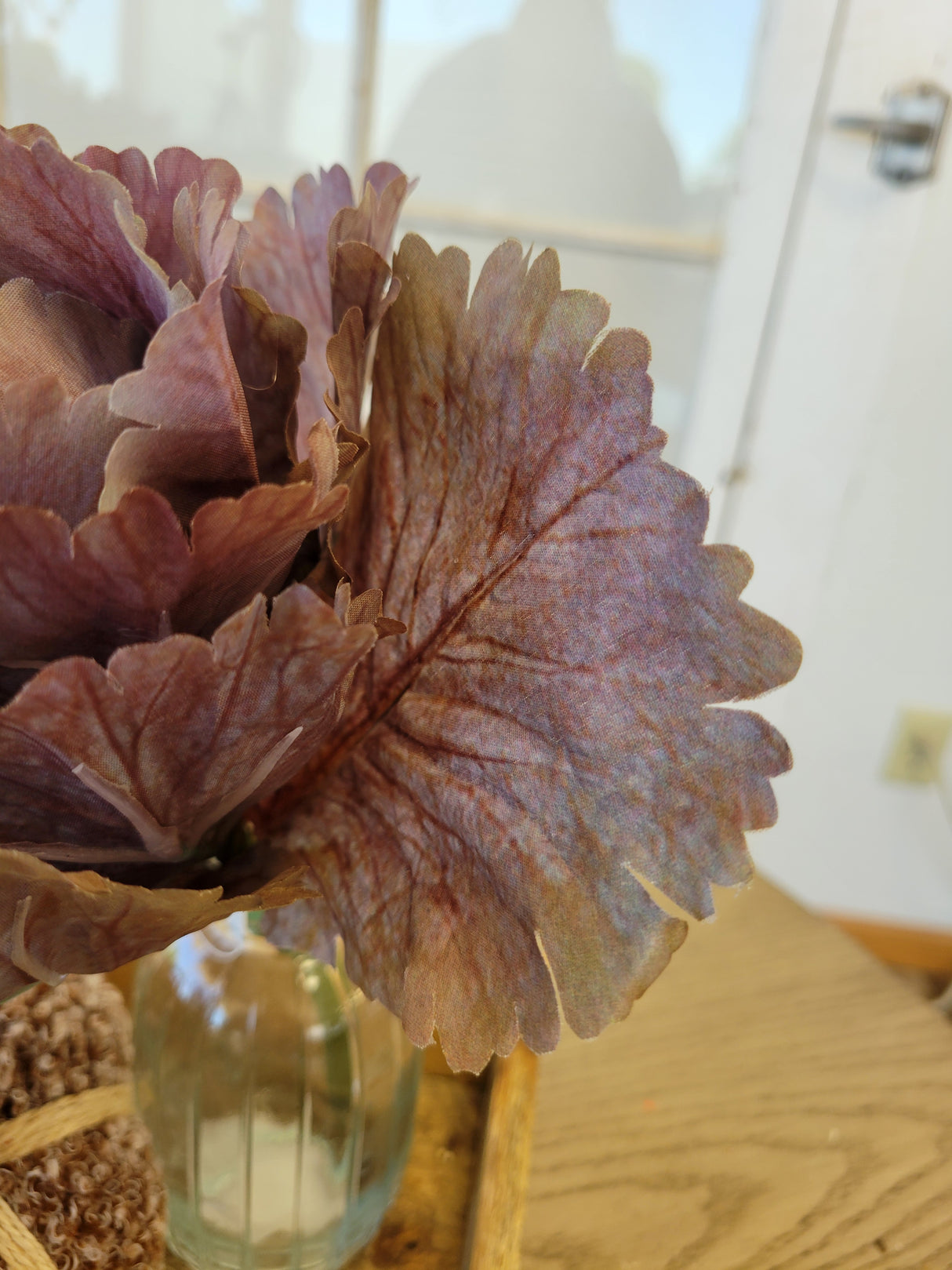 Plum Autumn Cabbage Stem