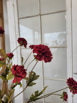 Burgundy Pom-Pon Mum Spray