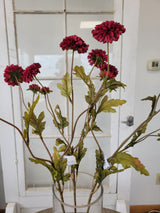 Burgundy Pom-Pon Mum Spray