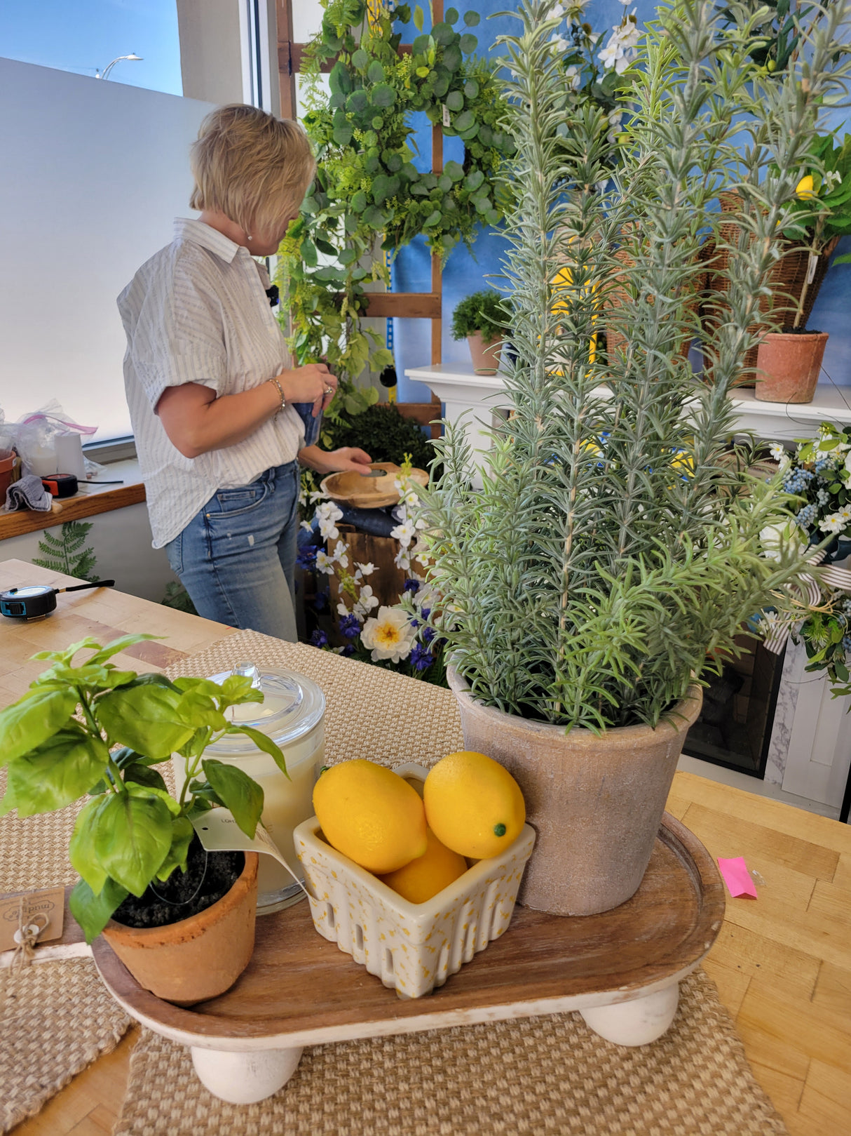 Potted Rosemary Herb Plant