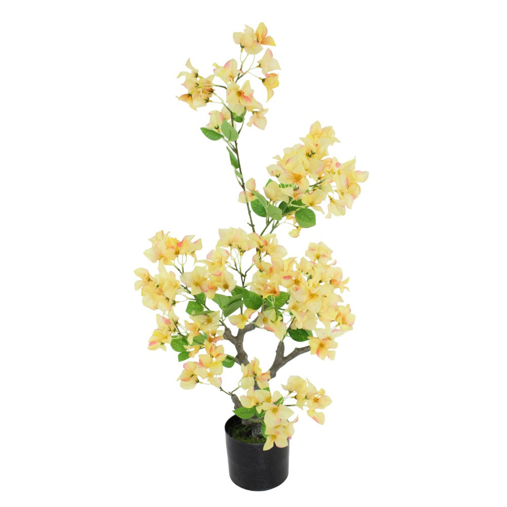 38" Potted Bougainvillea Tree