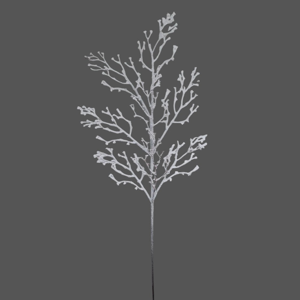 Snowed Natural Snow Branch