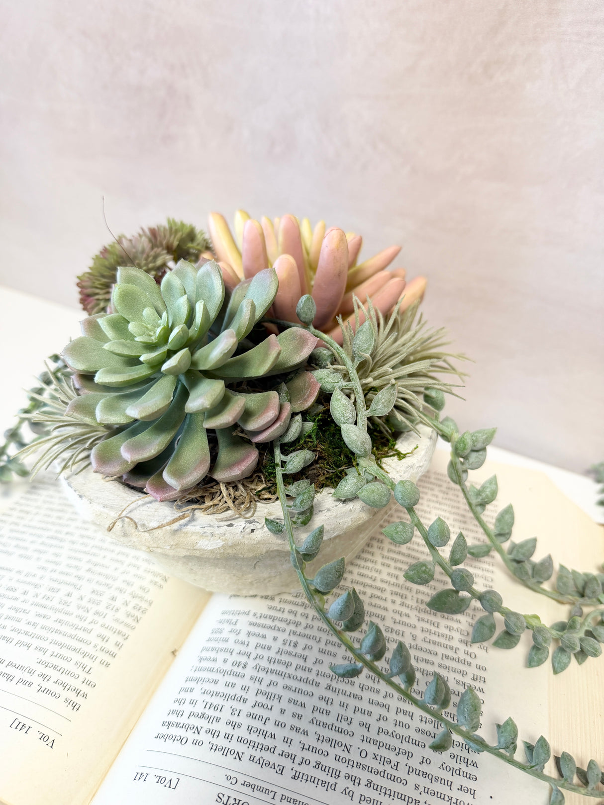 8" Suzie Succulent Centerpiece