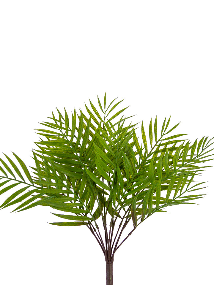 Mini Palm Bush