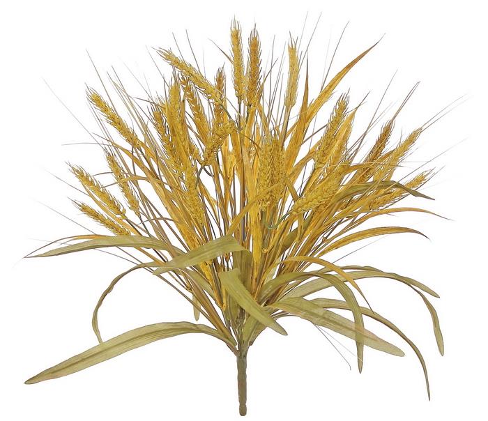 Gold Wheat Bush