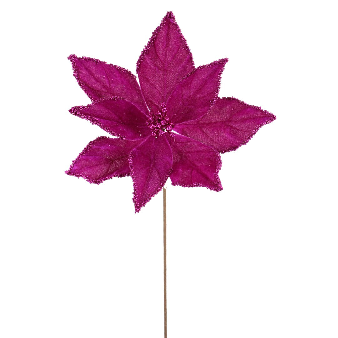 Fuschia Poinsettia Stem