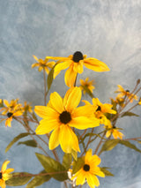 Gold Black-Eyed Susan Spray