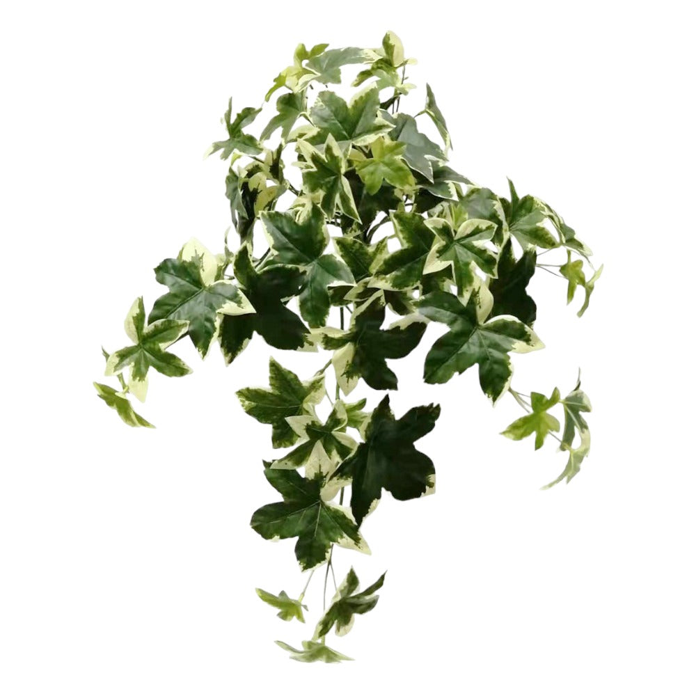 UV Protect Hanging Garden Ivy Bush