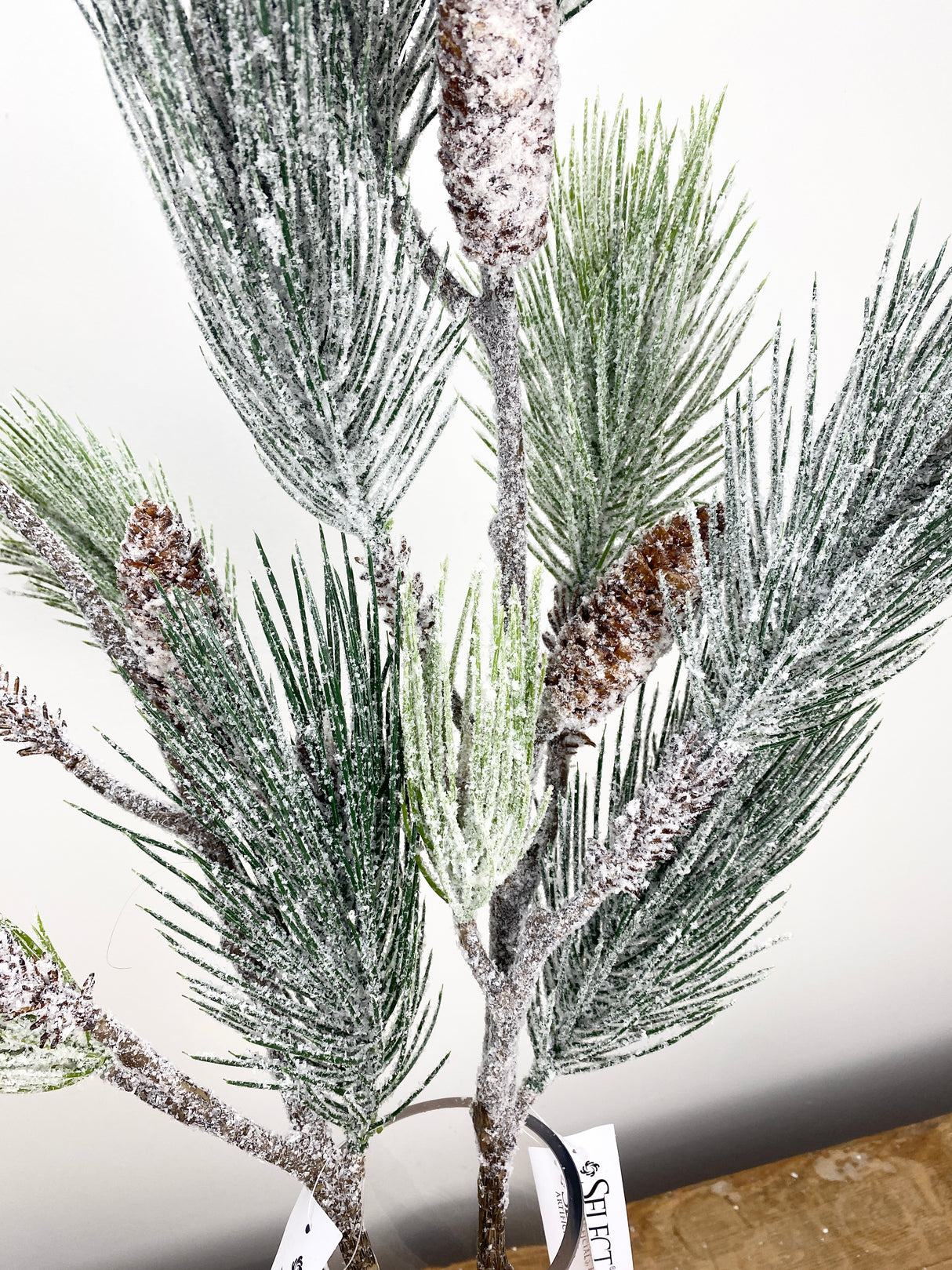 Frosted Pine Spray W/Cones